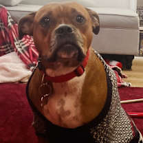 Thumbnail photo of Aspen #1