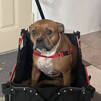 Thumbnail photo of Aspen #2