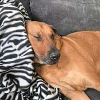 Thumbnail photo of Jake #4