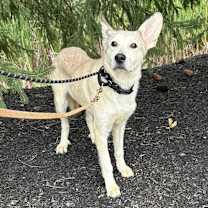 Thumbnail photo of Holly #1