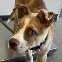 Thumbnail photo of Cnote #3