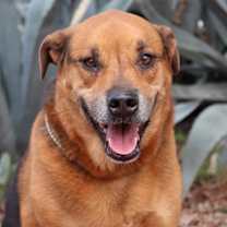 Thumbnail photo of Twix JuM/AG #3