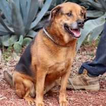 Thumbnail photo of Twix JuM/AG #4