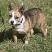 Thumbnail photo of Little Miss #1