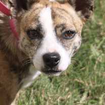 Thumbnail photo of Little Miss #2