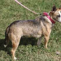 Thumbnail photo of Little Miss #3