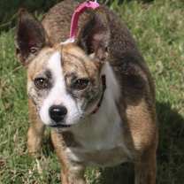 Thumbnail photo of Little Miss #4