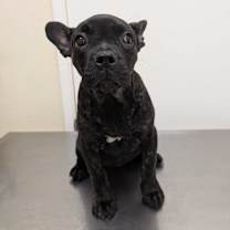 Thumbnail photo of China #1