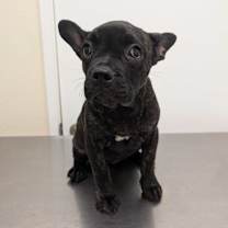 Thumbnail photo of China #2