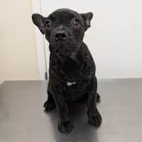 Thumbnail photo of China #3