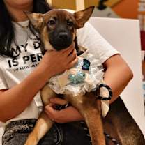 Thumbnail photo of Tutu #2