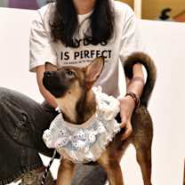 Thumbnail photo of Tutu #4