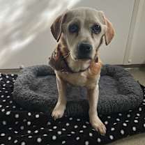 Thumbnail photo of Monroe #2