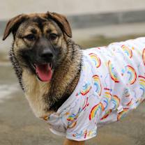 Thumbnail photo of Wuwu #3