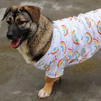 Thumbnail photo of Wuwu #4