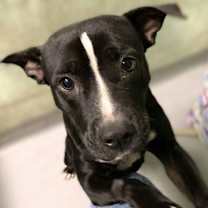 Thumbnail photo of Ingrid #2