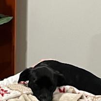 Thumbnail photo of Seven #4