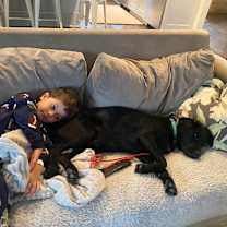 Thumbnail photo of Pepper #2