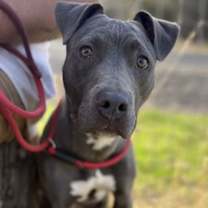 Thumbnail photo of Jenny #1