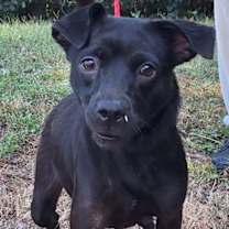 Thumbnail photo of 251332  Clarissa #1