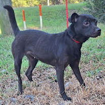 Thumbnail photo of 251332  Clarissa #3