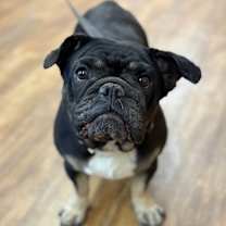 Thumbnail photo of Nina #1