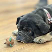 Thumbnail photo of Nina #2