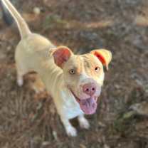 Thumbnail photo of Mary Kate #3