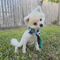 Thumbnail photo of Journey #3