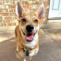 Thumbnail photo of Gemma #1