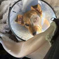 Thumbnail photo of Bubbles #1