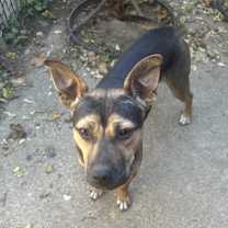 Thumbnail photo of Zayley #1