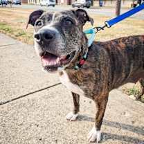 Thumbnail photo of Mama Roxy #2