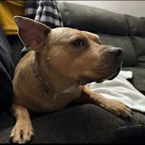 Thumbnail photo of Sassy #3