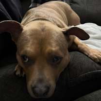 Thumbnail photo of Sassy #4