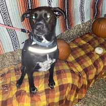 Thumbnail photo of Ronald #1