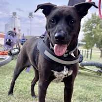 Thumbnail photo of Ronald #2