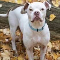 Thumbnail photo of Moby #1