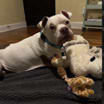 Thumbnail photo of Moby #4