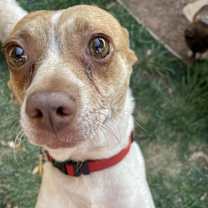 Thumbnail photo of Annie #2