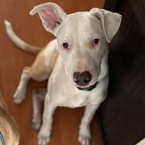 Thumbnail photo of Max #1