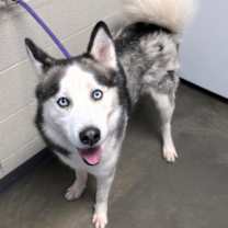 Thumbnail photo of On The Rocks #2