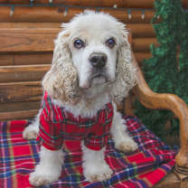 Thumbnail photo of Landon - Medical Hold #1