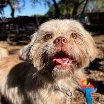 Thumbnail photo of Farrah #1