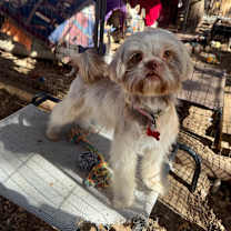 Thumbnail photo of Farrah #3