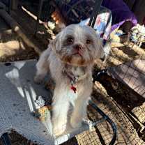 Thumbnail photo of Farrah #4