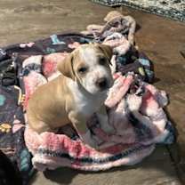 Thumbnail photo of Maci #2