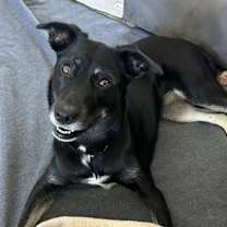 Thumbnail photo of Silly Lily #4