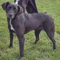 Thumbnail photo of Disney #2