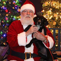 Thumbnail photo of Chip #1